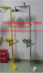 不銹鋼緊急噴淋洗眼器