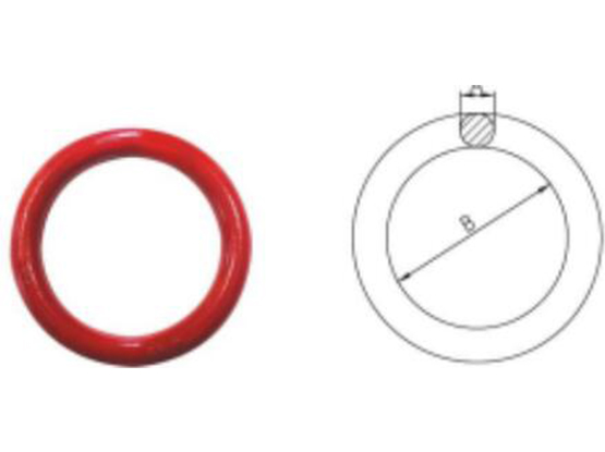 無(wú)焊縫圓環(huán)(BNO) WELDLESS RINGS (BNO)