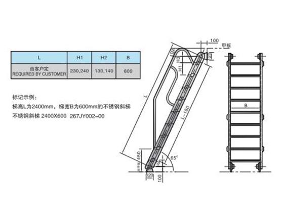 不銹鋼斜梯 STAINLESS STEEL INCLINED LADDER
